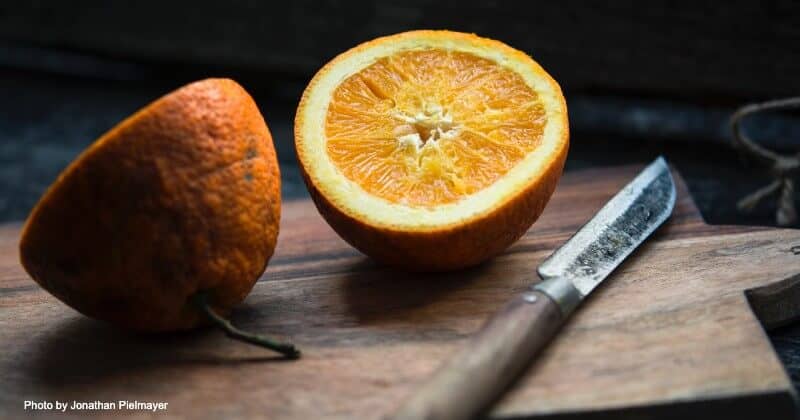 que es la nutrición funcional
